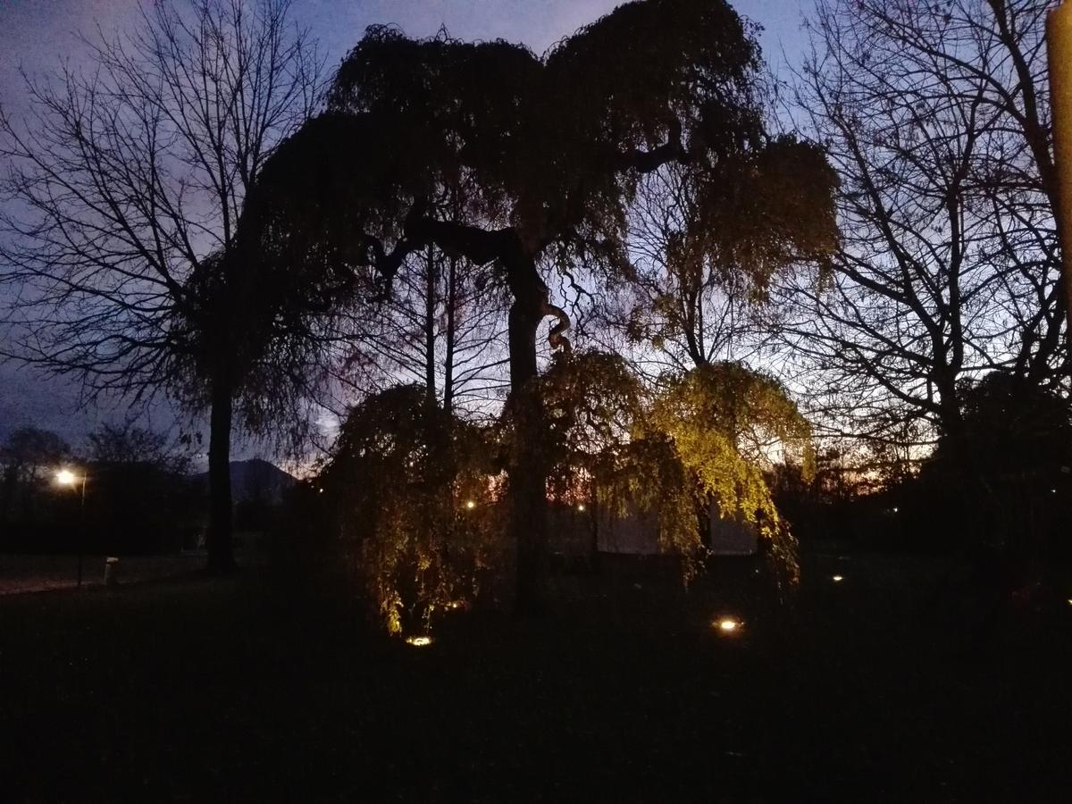 Agriturismo La Sophora Montegaldella Экстерьер фото